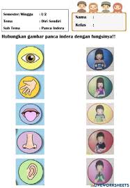 Lembar kerja matematika ini cocok untuk anak usia tk b yang. Lembar Kerja Panca Indera 1 Worksheet