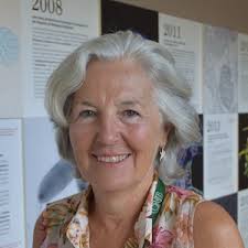 Diacylglycerol Kinases and Immune Functions