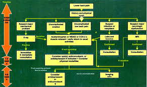 Image result for Low Back Pain Management