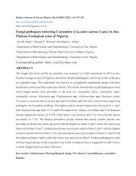 Image result for Cucumis aetheocarpus