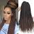 Jumbo Senegalese Twists