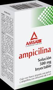 Ampicilina Plm