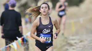 Image result for Erica simii