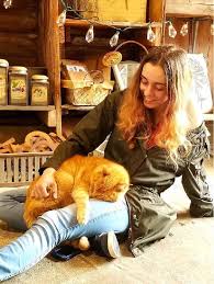 Pet Grooming In Lacey Or Olympia Wa Olympia Sydney S Pet Grooming Petbacker Washington