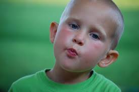 Paul Vroom (@thepaulvroom) • Instagram photos and videos