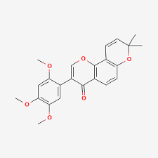 Image result for Millettia usaramensis