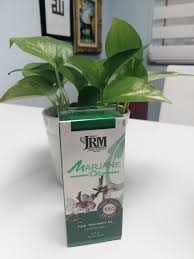 Jamu ratu malaya marjane oil. Minyak Marjane Jamu Ratu Malaya Review Anecdotes Of Anajoe