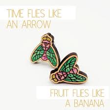 Time Flies Like An Arrow Fruit Flies Like A Banana Pun Hope You Enjoy Puns And Thursdays Verypunny Colorful Accessories Puns Enjoyment