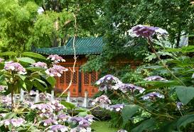Sie waren zu gast im china garten in korschenbroich oder suchen weitere infos? Duisburg Auf Dem Weg Zur China Stadt