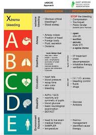 Image result for Trauma Evaluation