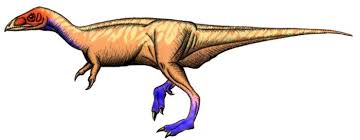 Walgettosuchus is a theropod known from an incomplete vertebra from the griman creek formation in australia, living in the albian age of the early cretaceous, sometime around 113 to 100 million years ago. Rapator Facts Dinosaurs Pictures And Facts