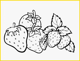 Check spelling or type a new query. 100 Sketsa Buah Buahan Terbaik Paling Mudah Digambar Sindunesia