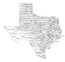 government of texas wikipedia