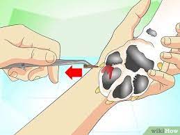The duct tape trick is the only. How To Get A Thorn Out Of A Dogs Paw With Pictures Wikihow Pet