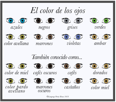 El Color De Los Ojos Learning Spanish Spanish Spanish Language