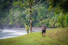 Corcovado national park is the crown jewel of costa rica's national park system. Full Day Adventure In Corcovado National Park From Drake Bay 2021