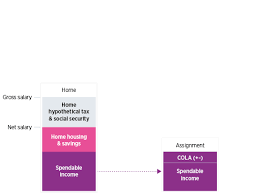 This software is a simple free salary calculator to calculate the monthly government statutory deductions and net pay. Mobility Basics The Home Based Approach Eca International