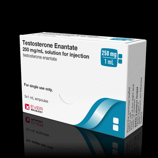 Testosterone Enantate - EVER Pharma
