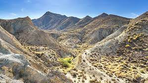 Please see our crossword & codeword, words with friends or scrabble word helpers if that's what you're looking for. Desert Starting With A Q Tiny Desert Mice Could Help Save Australia S Grasslands None Of The Principal Deserts Of The World Begin With Q Sal Kaa