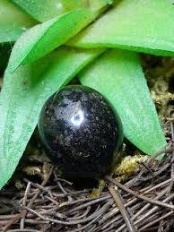  Sanggar Bertuah Batu Mustika Geliga Keris Pusaka Mystic Miracle Akik Spiritual Indonesia Mustika Prabu Macan Kumbang Macan Kumbang Kumbang