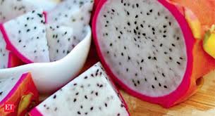 Dragon fruit trees for sale. India Gets A Taste Of Exotic Dragon Fruit At Lower Rate Imports Up 20 Times The Economic Times