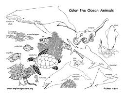 Free printable ocean life coloring pages are a fun way for kids of all ages to develop creativity, focus, motor skills and color recognition. Ocean Animals Coloring Page