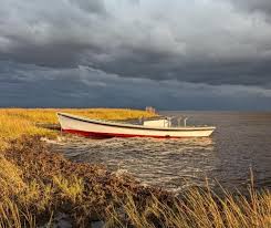 Image result for Medium Brown 2020 Fleet