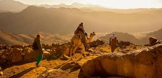 Se hai bisogno di una risposta non presente nell'elenco, scrivici nei commenti! Il Monte Sinai La Monte Ideale Per Vedere La Terra Sacra Dalla Cima