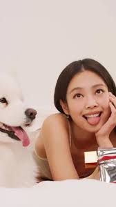 Mike Beech (@mikebeechfilm) • Instagram photos and videos