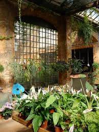 Pin On Indoor Gardening