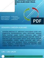 We did not find results for: Perbedaan Bantal Latex Dengan Bantal Dakron
