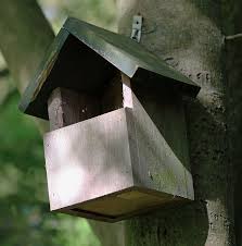 Image result for Flyte Blackbird Nest Box