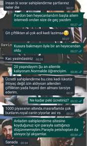 Petcim Ø¨Ø­Ø« ÙÙ ØªÙÙØªØ±
