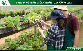 Chứng nhận VietGAP trồng trọt nhanh chóng, uy tín - QCert