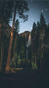 Discover this awesome collection of aesthetic iphone 11 wallpapers. Forest Painting Iphone Wallpaper 11 Pro Max Wallpaper Forest 640x1136 Wallpaper Teahub Io