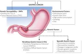 In such cases, it is necessary to seek immediate medical help and get the right treatment. Gastric Stomach Cancer Types Symptoms Diagnosis Treatment Pmcc Denver Oncology Denver Concierge Medicine