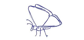 Drawing one would require working out the details a bit more. How To Draw A Butterfly Step By Step Adobe