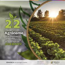 El ingeniero agrónomo es un profesional que maneja los recursos naturales renovables en forma racional. Senasica On Twitter Feliz Dia Del Ingeniero Agronomo Diadelagronomo