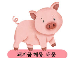 돼지물고기 이미지