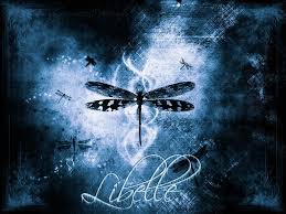 Black And Blue Dragonfly Blue Dragonfly Background Dragonfly Wallpaper Artistic Wallpaper Dragonfly Images