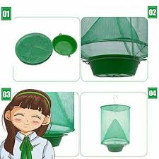 Piege A Mouches Exterieur Jardin En 2020 Piege A Mouche Mouches Balsamique