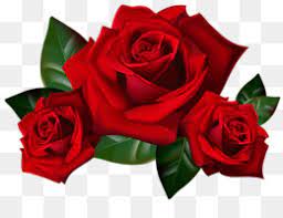 Maybe you would like to learn more about one of these? Mawar Unduh Gratis Undangan Pernikahan Rose Clip Art Tangan Dicat Bunga Mawar Dan Bunga Bunga Undangan Pernikahan Perbatasan Gambar Png