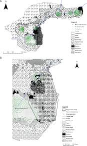 Image result for Crassocephalum ducis-aprutii