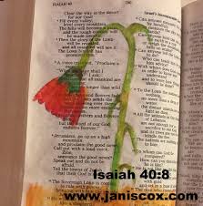 We did not find results for: Scripture And A Picture How We Learn That The Word Of God Stands Forever Growing Through God S Word