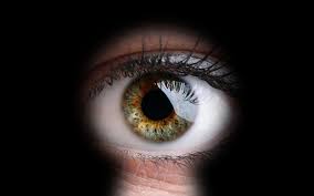 El enfoque de nuestros ojos - Elisa Aribau