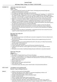 Please do not copy anything verbatim from these resume samples. Post Doc Fellow Resume Samples Velvet Jobs