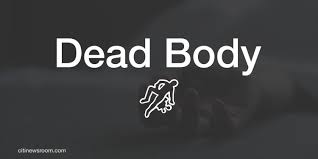 Suspected cable thief electrocuted to death in Potsin