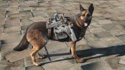 Where To Find Dogmeat Armor In Fallout 4 Gosu Noob Examples are armor include power armor and combat armor. find dogmeat armor in fallout 4