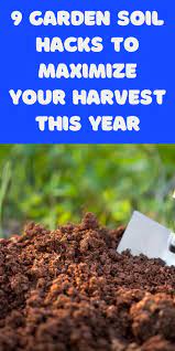 9 Garden Soil Hacks To Maximize Your Harvest This Year Gardening Sun In 2021 Soil Hacks Garden Soil Planting Herbs