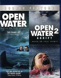 Amazon.com: Open Water / Open Water 2: Adrift [Blu-ray] : Blanchard Ryan,  Daniel Travis, Saul Stein, Estelle Lau, Michael Williamson, Cristina  Zenaro, John Charles, Chris Kentis: Movies & TV